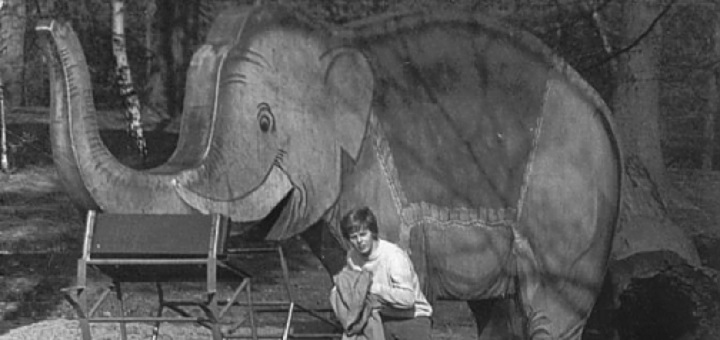 Mieszkańcy Bielan wybrali ścieżkę zdrowia zamiast rzeźby słonia