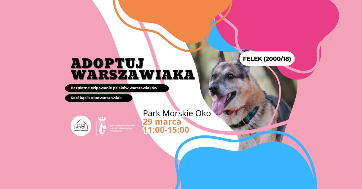 ADOPTUJ WARSZAWIAKA 2026