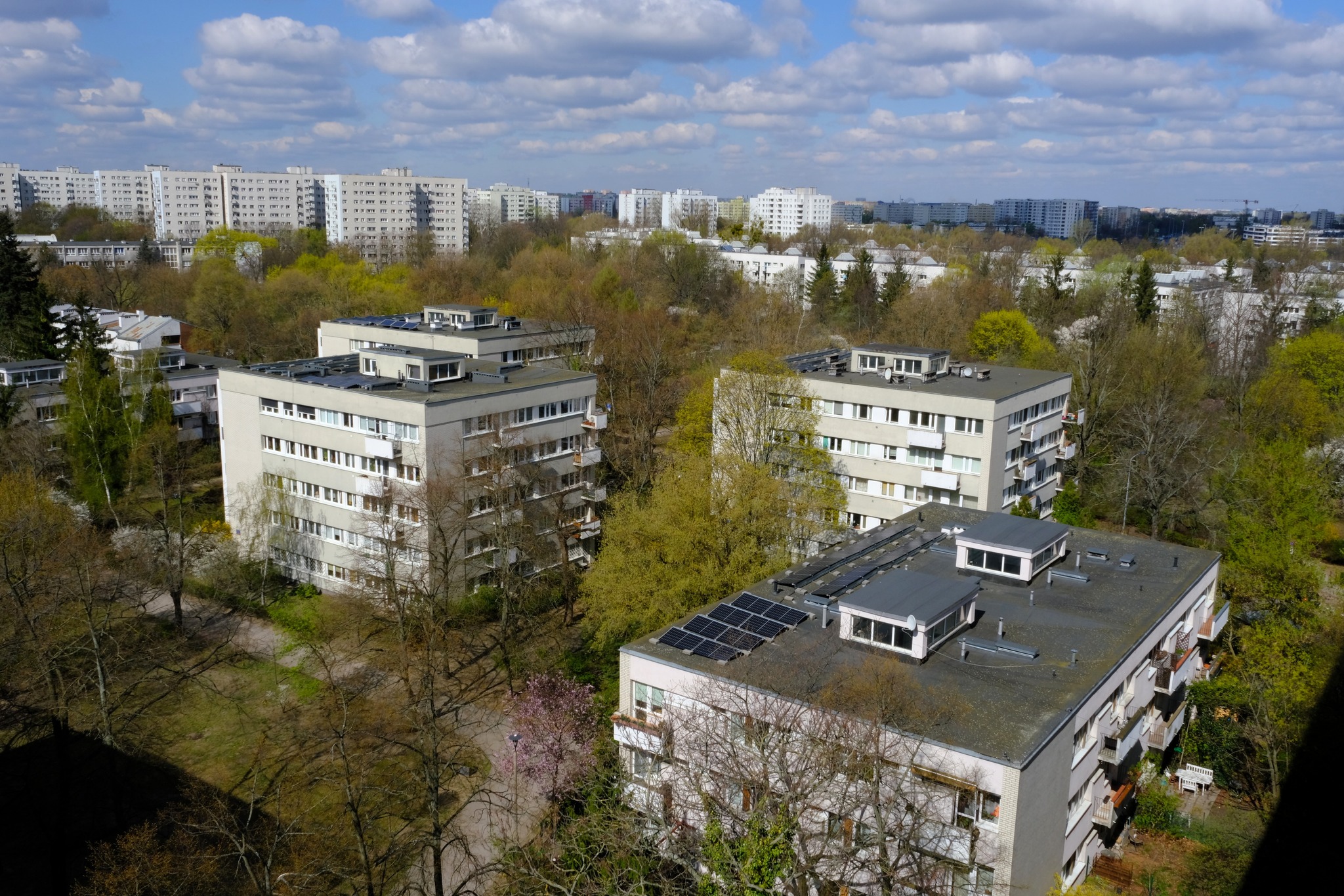 SPACER „POSZUKIWANIE WIOSNY NA SADACH ŻOLIBORSKICH”