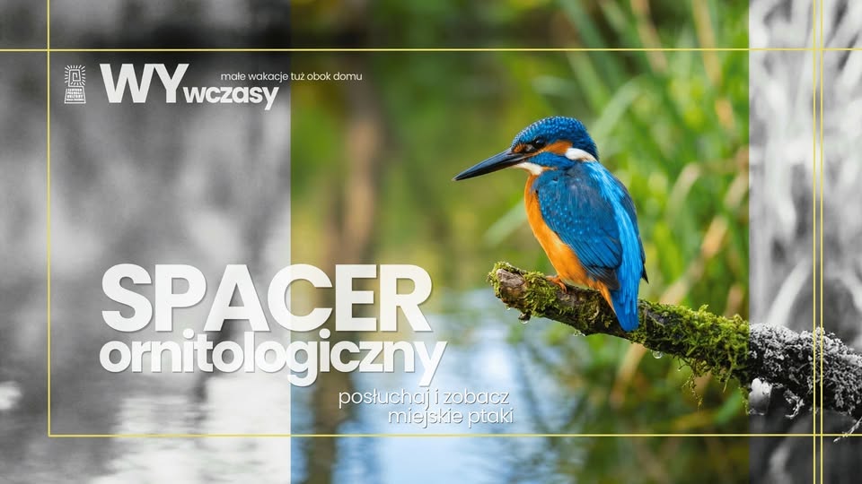 WYwczasy: spacer ornitologiczny – posłuchaj i zobacz miejskie ptaki