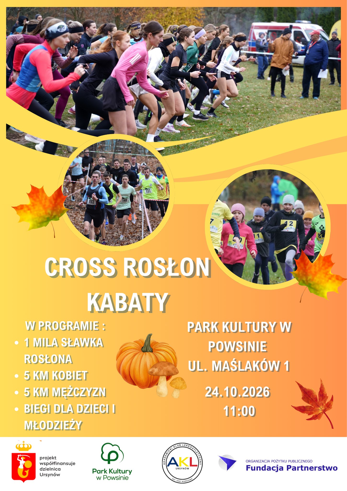 Cross Rosłon Kabaty