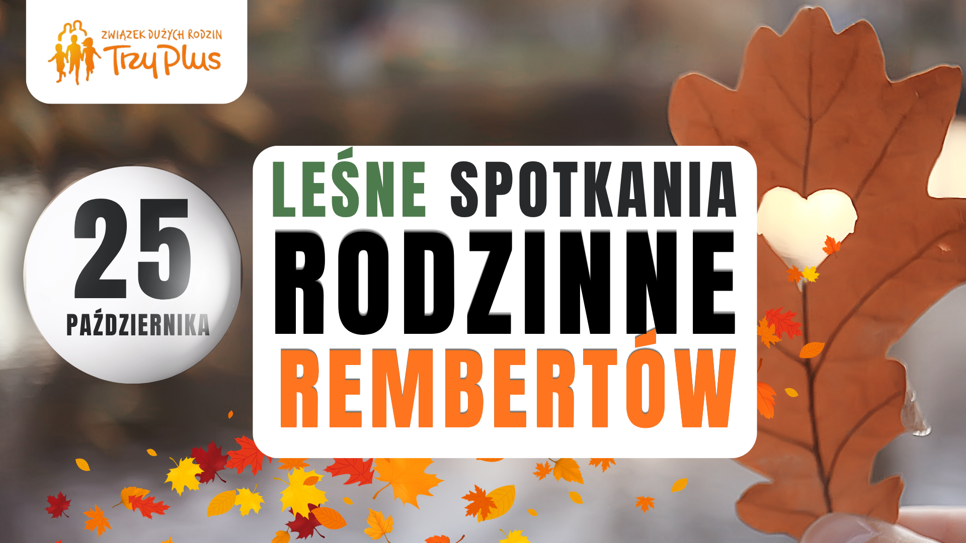 LEŚNE SPOTKANIA RODZINNE Z WARSZAWSKIMI RODZINAMI