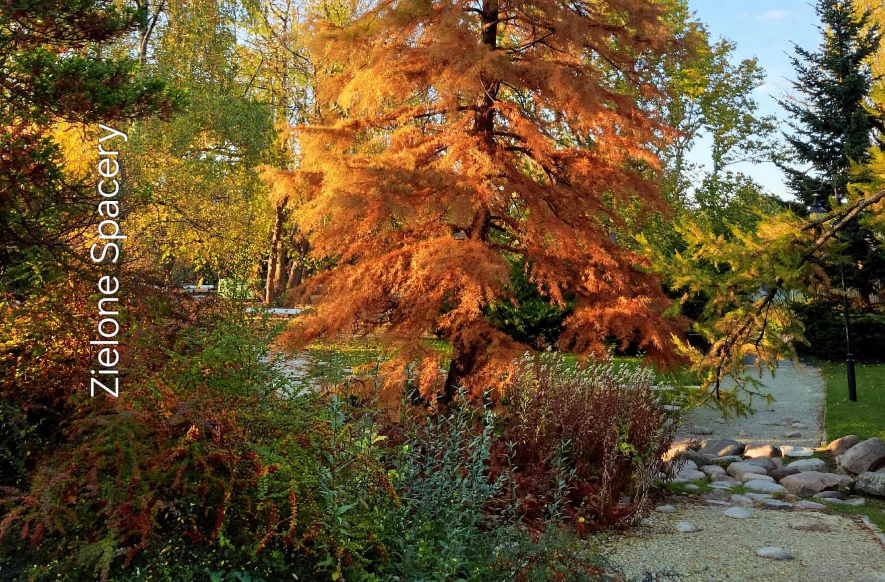 Park Ujazdowski w jesiennej szacie