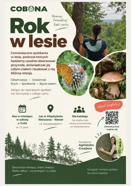 Rok w lesie