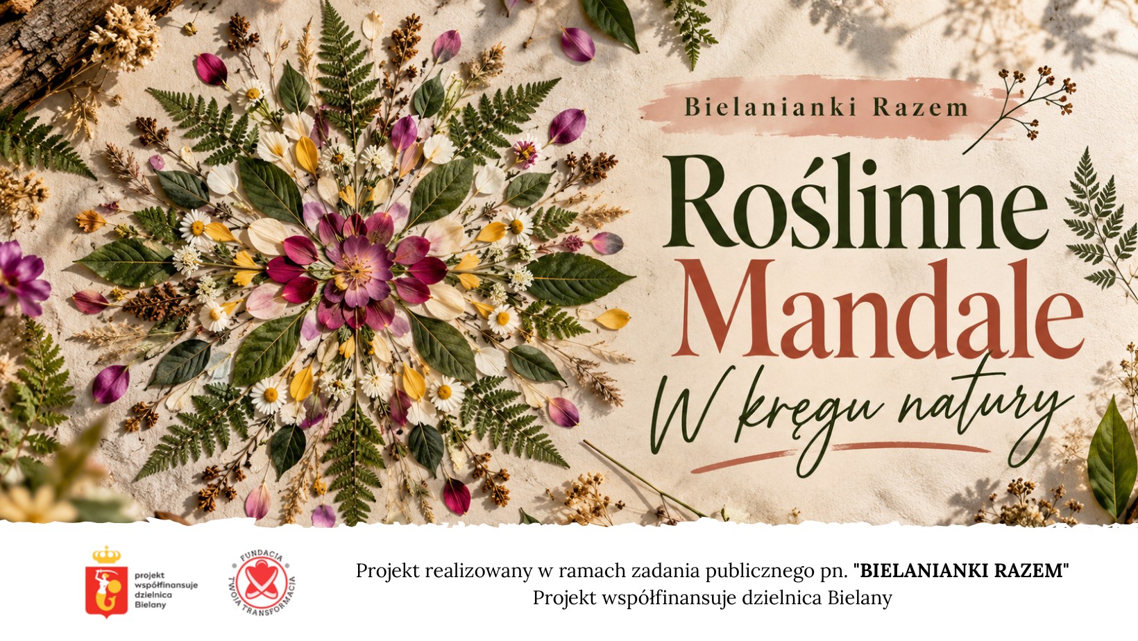 Roślinne Mandale. W kręgu natury