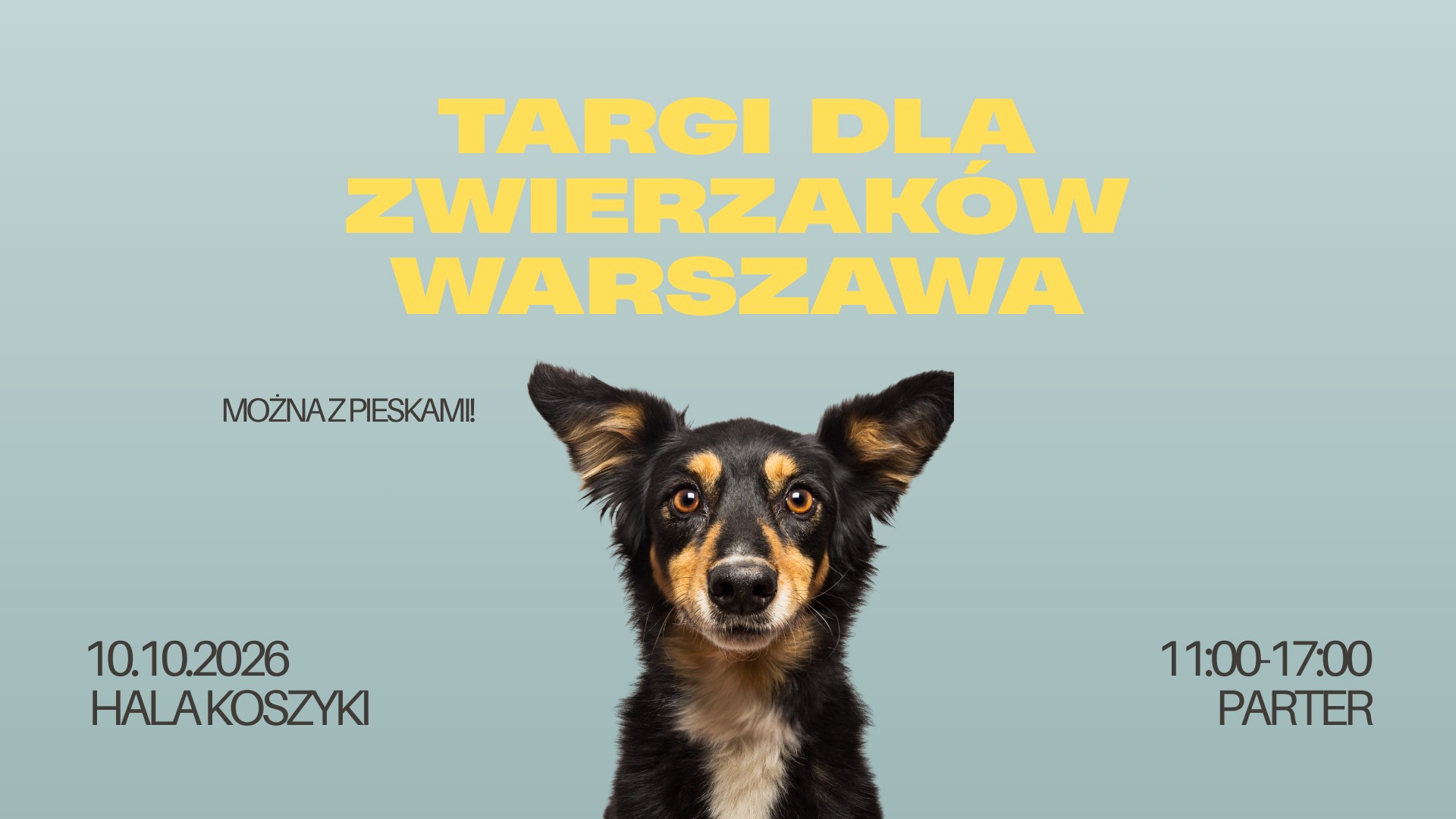 Targi dla Zwierzaków